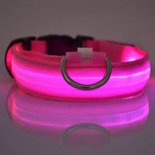 Load image into Gallery viewer, GlowPup™ – LED Safety Collar for Nighttime Walks