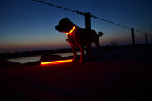 Load image into Gallery viewer, GlowPup™ – LED Safety Collar for Nighttime Walks