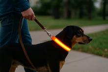 Load image into Gallery viewer, GlowPup™ – LED Safety Collar for Nighttime Walks