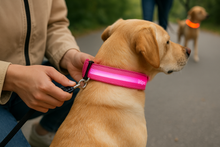 Load image into Gallery viewer, GlowPup™ – LED Safety Collar for Nighttime Walks