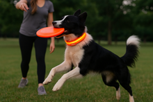 Load image into Gallery viewer, GlowPup™ – LED Safety Collar for Nighttime Walks