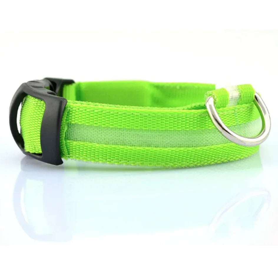 GlowPup™ – LED Safety Collar for Nighttime Walks