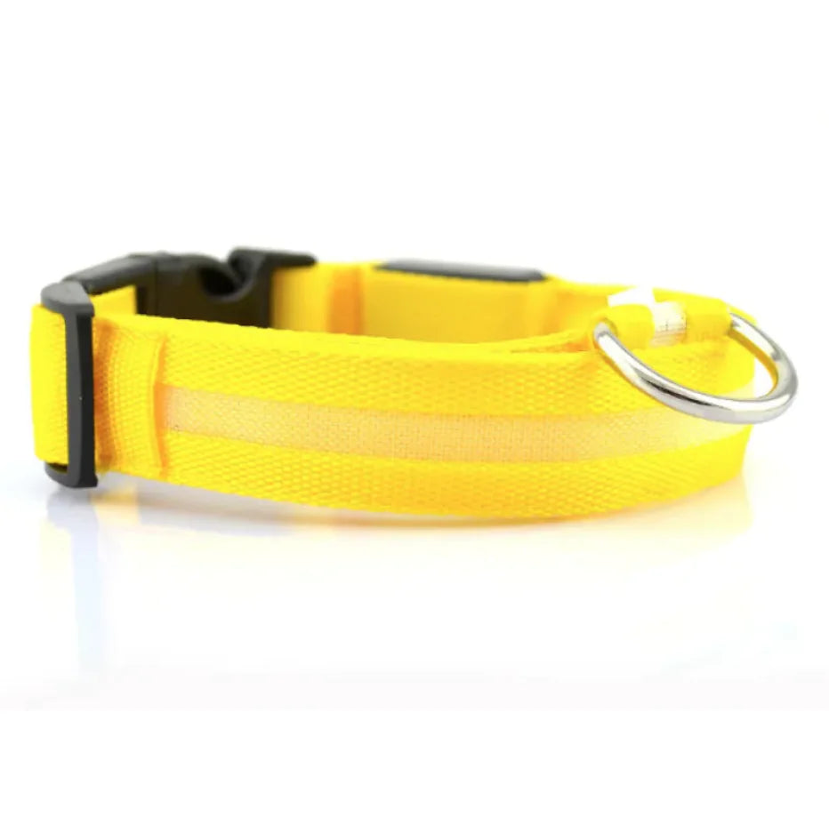 GlowPup™ – LED Safety Collar for Nighttime Walks