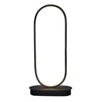 Modern Oval LED Lamp