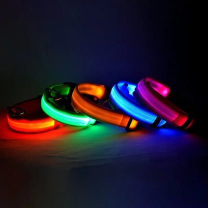 GlowPup™ – LED Safety Collar for Nighttime Walks
