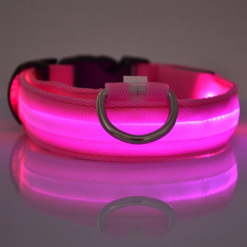 GlowPup™ – LED Safety Collar for Nighttime Walks