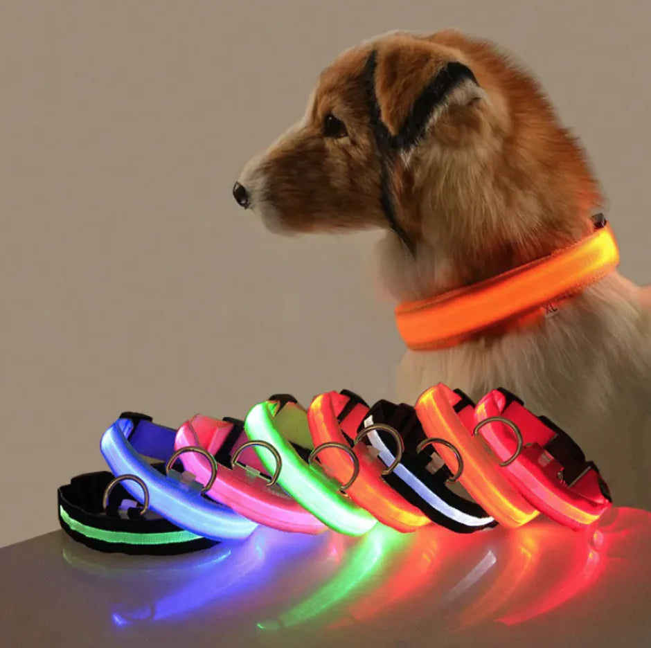 GlowPup™ – LED Safety Collar for Nighttime Walks