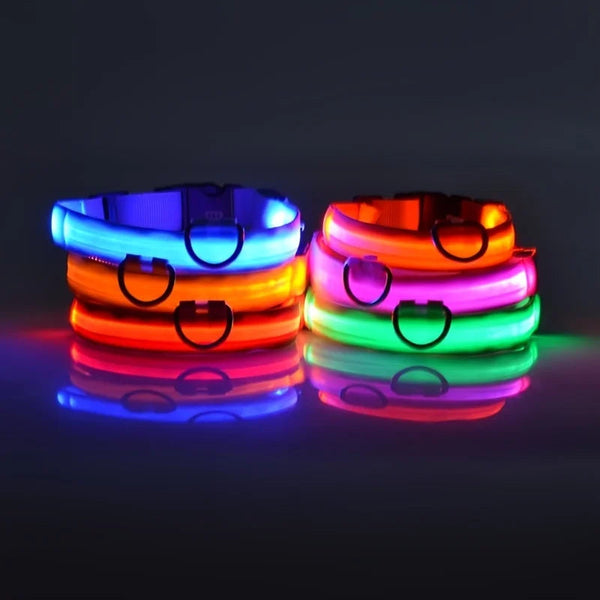 GlowPup™ – LED Safety Collar for Nighttime Walks