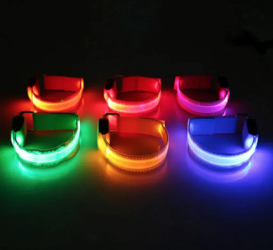 GlowPup™ – LED Safety Collar for Nighttime Walks