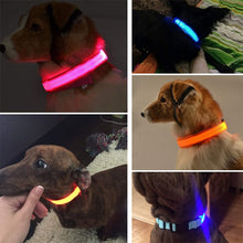 Load image into Gallery viewer, The Perfect LED Glowing Pet Collar
