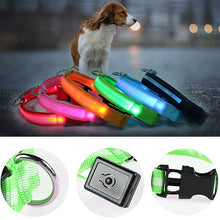 Load image into Gallery viewer, The Perfect LED Glowing Pet Collar
